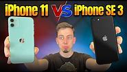 iPhone 11 vs SE3 karşılaştırma - 2.000 TL fark çok!