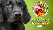 Homemade Vegan Dog Food: 10 Vet-Approved Recipes, Ingredients & Diet Plan - Canine Bible