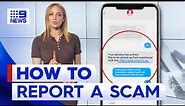 Explained: How to report a text message scam | 9 News Australia