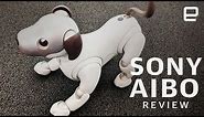 Sony Aibo Review: New dog, new tricks