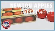 STEM Experiment: Newton Apples