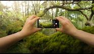 Xperia 1 V - Relaxing POV Forest Photography