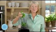 How to Make Pesto - Martha Stewart's Cooking School