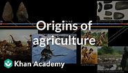 Origins of agriculture | World History | Khan Academy