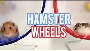 All About Hamster Wheels! | Hamster Wheels 101