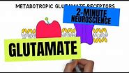 2-Minute Neuroscience: Glutamate