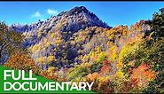 Great Smoky Mountains - A Fairytale World from Once Upon A Time | Free Documentary Nature