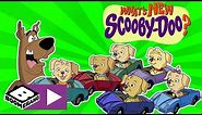 What's New Scooby-Doo? | Puppy Rescue | Boomerang UK