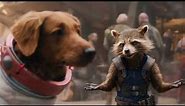 Rocket Raccoon and Cosmo SpaceDog - The Guardians of the Galaxy: Holiday