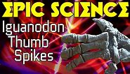 Iguanodon Thumb Spikes - Epic Science