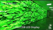 Linsn COB LED Display Customer Case