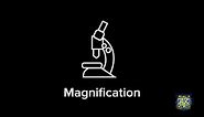 How to calculate magnification
