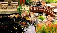 Traditional Japanese Koi Pond and Stream Landscape by San Diego Ponds