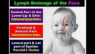 Lymphatic Drainage of the Head and Neck, Dr Adel Bondok