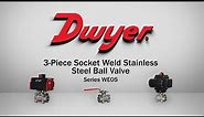 3-Piece Socket Weld Stainless Steel Ball Valve | Series WE05