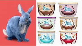 Wells Enterprises (Blue Bunny ice cream) is the 2016 Dairy Foods Processor of the Year