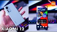 Xiaomi 12 Full Review: MOST Powerful Compact BUT Few Major Problems!