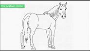 Top 25 Free Printable Horse Coloring Pages