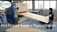 How to Produce Bamboo Plywood Panels 17 Aug
