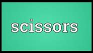 Scissors Meaning