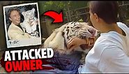 This White Tiger Attacked It's Owner In Front of Audience!