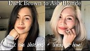 First time bleaching my hair at home! Dark brown to ash blonde using Brad Mondo’s guide