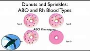 Blood Types: ABO and Rh (with donuts and sprinkles!)