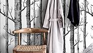 Birch Tree Wallpaper Peel and Stick Black and White Wallpaper Wood Removable Wallpaper Cream White FSC Paper Covering 30 sq. ft