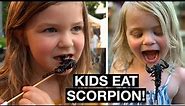 EATING SCORPIONS AND BUGS IN THAILAND | WOLRD'S BRAVEST GIRLS | Thailand Street Food