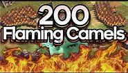 200 Flaming Camels (T90 Trolls)