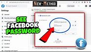 How To See Your Facebook Password on PC/Laptop 2024