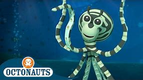 Octonauts - The Mimic Octopus | Cartoons for Kids | Underwater Sea Education