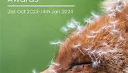 The British Wildlife Photography Awards 2023 at Banbury Museum & Gallery. | Banbury Museum & Gallery