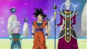 Goku meets Grand Priest For First time Eng Dub
