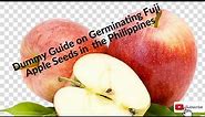 How to grow apple in the Philippines from seeds