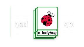 Bugs Flashcards - Simple insect flashcards for your classroom