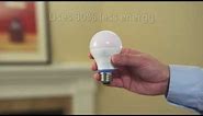 GE reveal® LED A19 Light Bulbs | GE Lighting