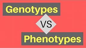 Genotype vs Phenotype | Understanding Alleles