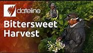 Bittersweet Harvest: America's migrant farmworkers