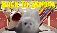 Bouncing Seals Back To School!