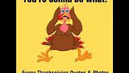 Kickstart Your Thanksgiving with These Funny Quotes and Photos