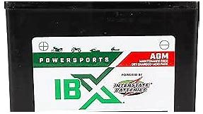 Interstate Batteries YTX16-BS 12V 14Ah Powersports Battery 230CCA AGM Rechargeable Replacement for ATVs, Motorcycles, Scooters (XTX16-BS)