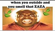 When you outside and smell that ZAZA 🍃