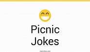65  Picnic Jokes And Funny Puns - JokoJokes