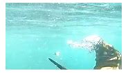 Galapagos Snorkeling