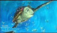 Turtle Cruising 🐢 | Finding Nemo | Disney Channel UK