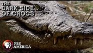 The Dark Side of Crocs FULL SPECIAL | PBS America