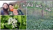 How To Forage Wild Garlic - Identification, Health Benefits & Mythology 🌱