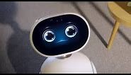 New 'affordable' robotic assistant