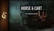 Horse & Cart | Exploration Ambience | 1 Hour #dnd